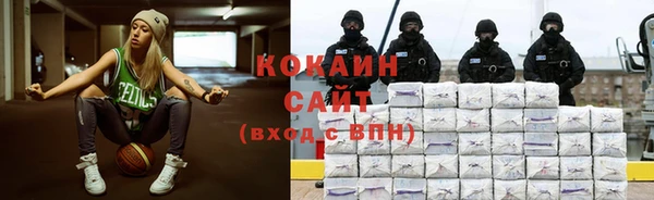 тгк Алексин