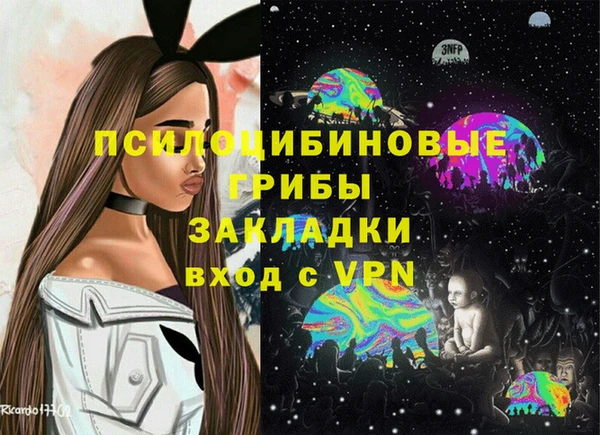 шишки Алексеевка
