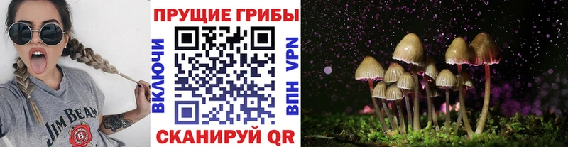 Галлюциногенные грибы MAGIC MUSHROOMS  Советский 