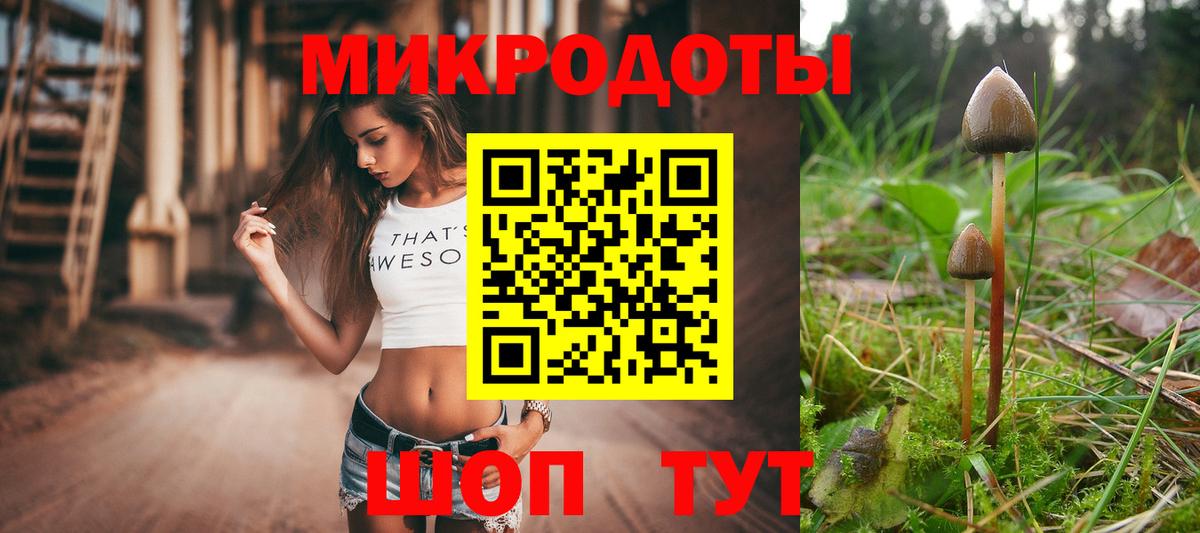 Галлюциногенные грибы Magic Shrooms Советский