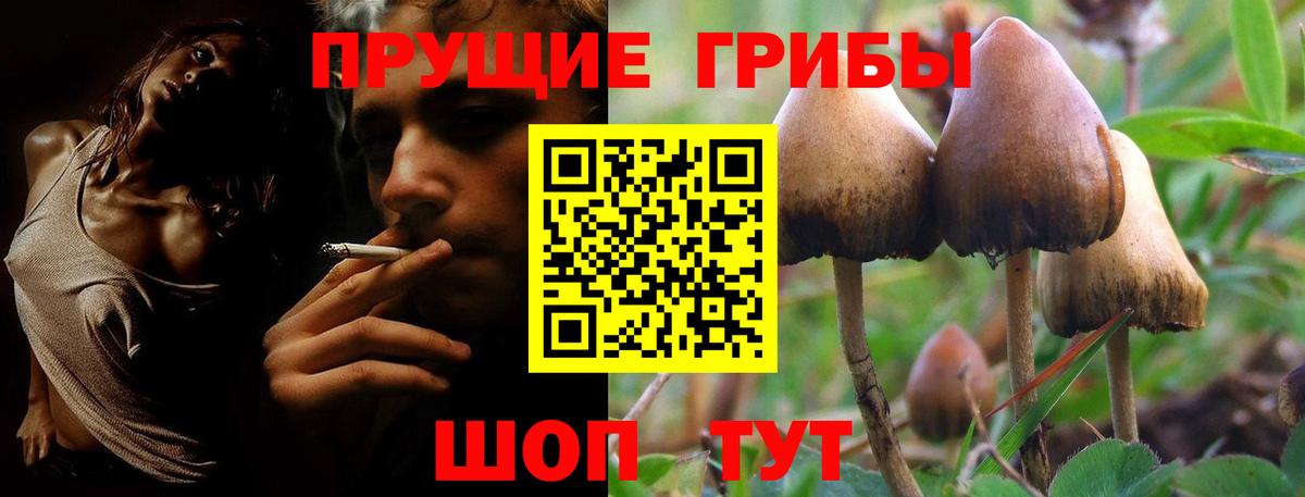 Советский  Галлюциногенные грибы MAGIC MUSHROOMS  Галлюциногенные грибы мицелий  Вход с VPN 